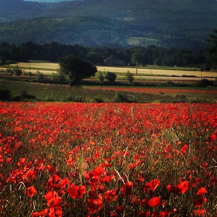 Le Mas De La Glycine Roussillon en Isere Екстериор снимка